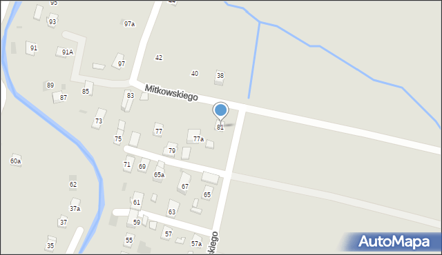 Rymanów, Mitkowskiego, 81, mapa Rymanów