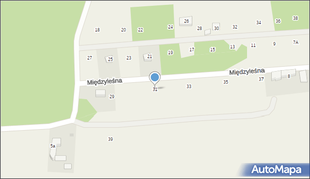 Rzeniszów, Międzyleśna, 31, mapa Rzeniszów