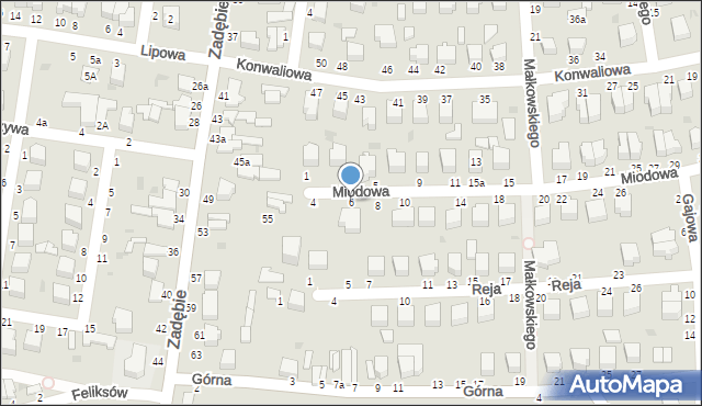 Skierniewice, Miodowa, 6, mapa Skierniewic