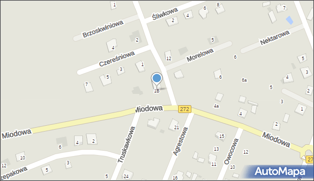 Świecie, Miodowa, 1B, mapa Świecie