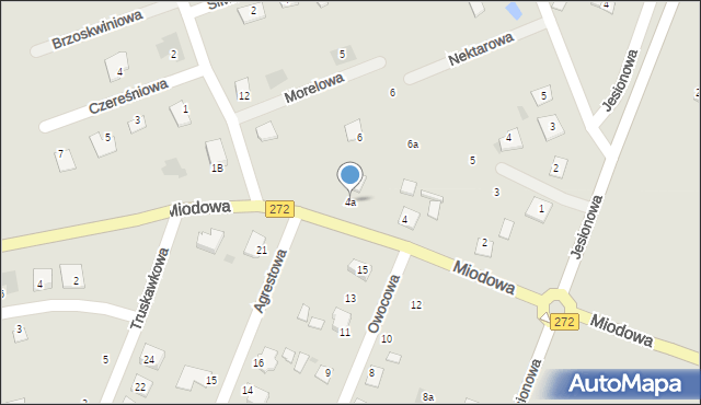 Świecie, Miodowa, 4a, mapa Świecie