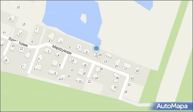 Szczytniki, Międzylesie, 11, mapa Szczytniki