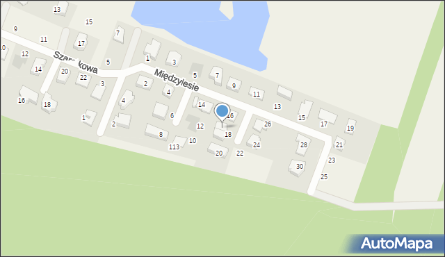 Szczytniki, Międzylesie, 18A, mapa Szczytniki