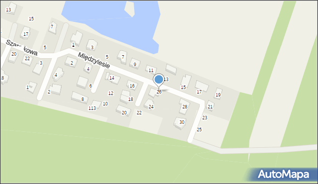 Szczytniki, Międzylesie, 26, mapa Szczytniki