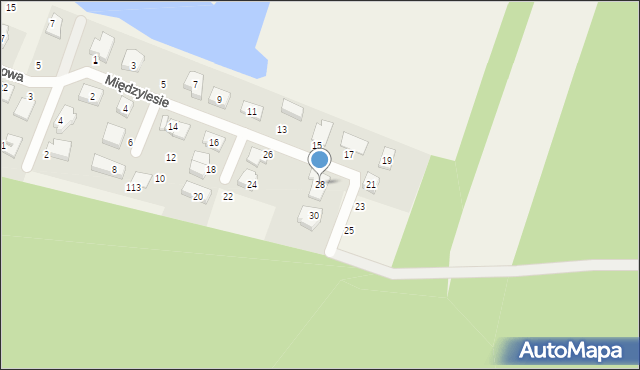 Szczytniki, Międzylesie, 28, mapa Szczytniki