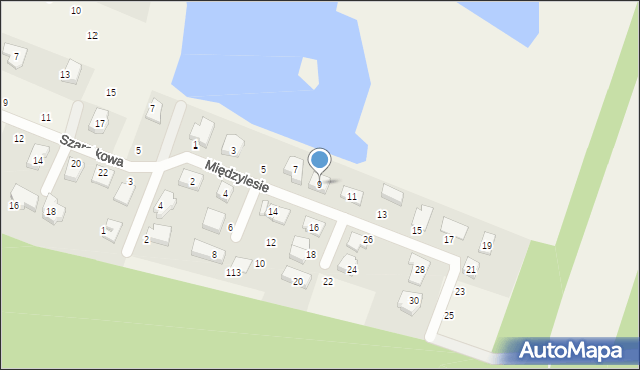 Szczytniki, Międzylesie, 9, mapa Szczytniki