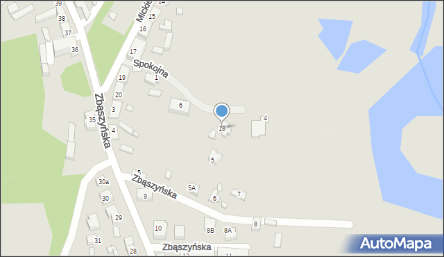 Trzciel, Mickiewicza Adama, 18, mapa Trzciel