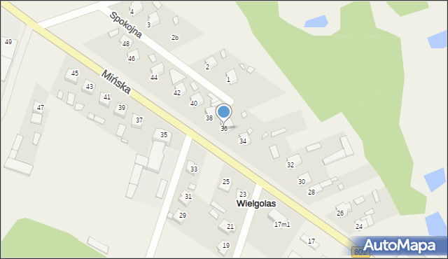 Wielgolas, Mińska, 36, mapa Wielgolas