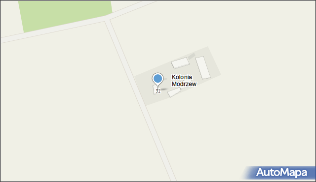 Modrzew, Modrzew, 31, mapa Modrzew