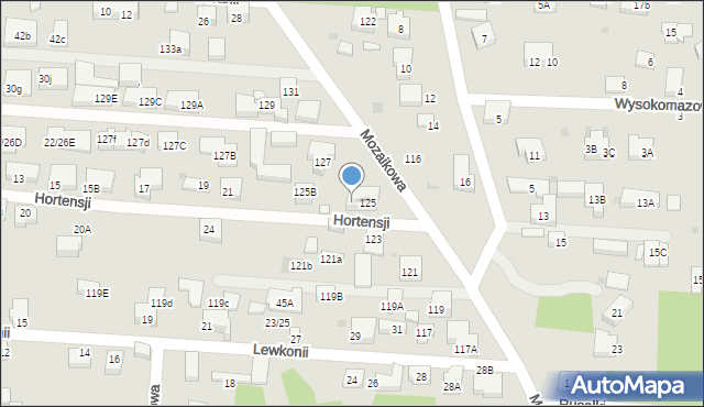 Warszawa, Mozaikowa, 125a, mapa Warszawy