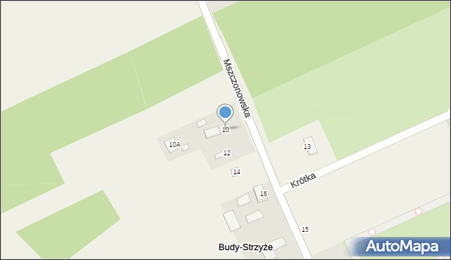 Budy-Strzyże, Mszczonowska, 10, mapa Budy-Strzyże