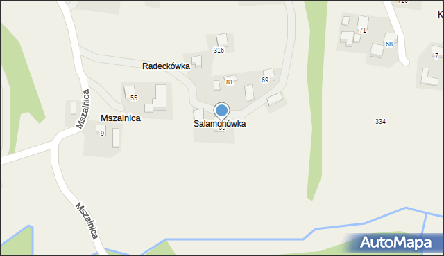 Mszalnica, Mszalnica, 65, mapa Mszalnica