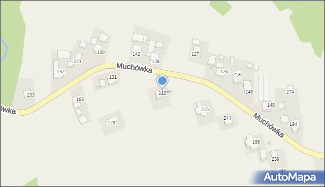 Muchówka, Muchówka, 242, mapa Muchówka