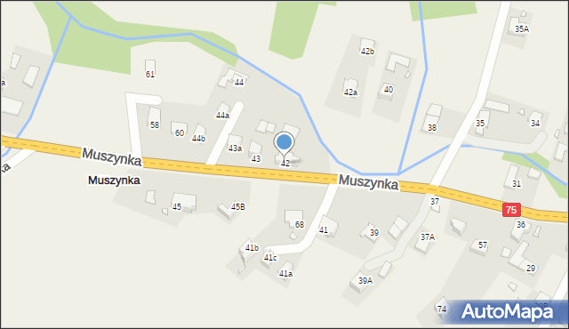 Muszynka, Muszynka, 42, mapa Muszynka