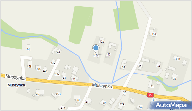 Muszynka, Muszynka, 42a, mapa Muszynka