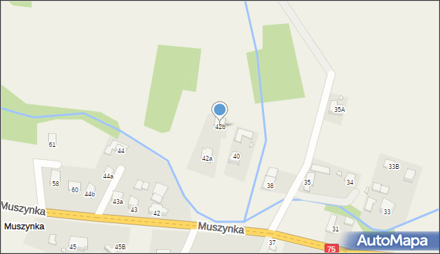 Muszynka, Muszynka, 42b, mapa Muszynka