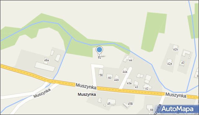 Muszynka, Muszynka, 61, mapa Muszynka