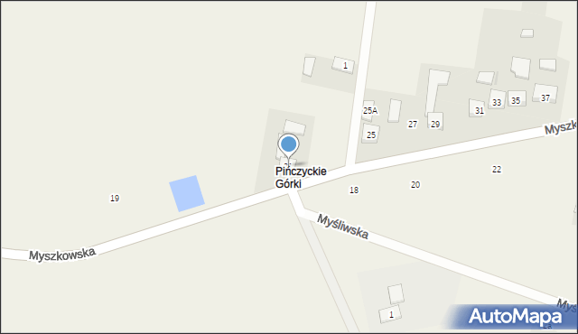 Pińczyce, Myszkowska, 21, mapa Pińczyce