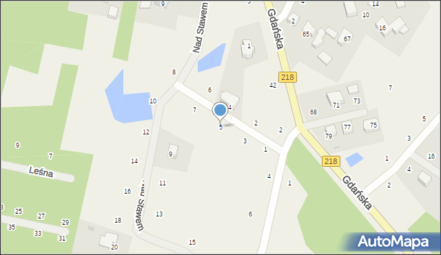 Bieszkowice, Nad Stawem, 5, mapa Bieszkowice