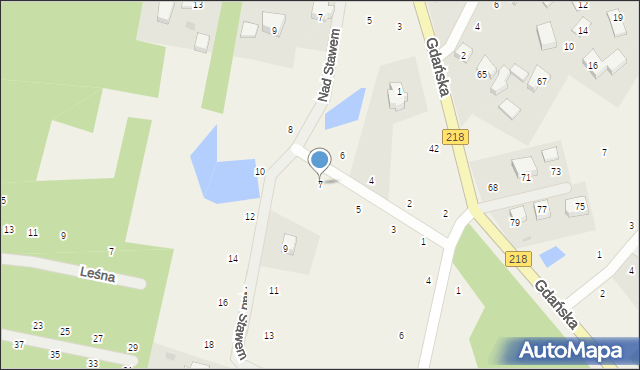 Bieszkowice, Nad Stawem, 7, mapa Bieszkowice