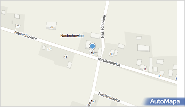 Nasiechowice, Nasiechowice, 29, mapa Nasiechowice