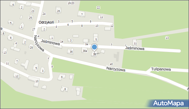 Olsztyn, Narcyzowa, 38, mapa Olsztyna