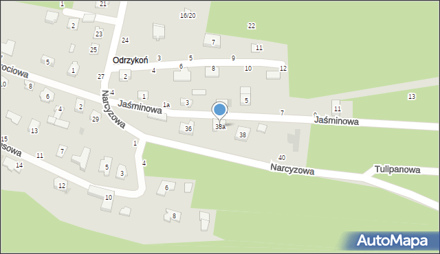 Olsztyn, Narcyzowa, 38a, mapa Olsztyna