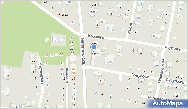 Poznań, Naramowicka, 246, mapa Poznania