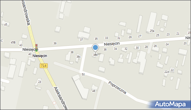 Konstantynów Łódzki, Niesięcin, 38b, mapa Konstantynów Łódzki