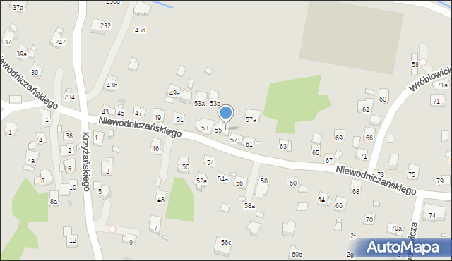 Kraków, Niewodniczańskiego Henryka, 55a, mapa Krakowa