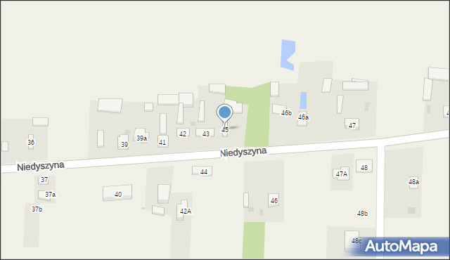 Niedyszyna, Niedyszyna, 45, mapa Niedyszyna