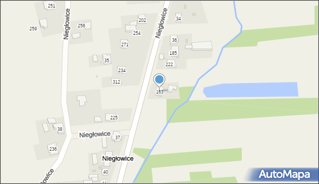 Niegłowice, Niegłowice, 163, mapa Niegłowice