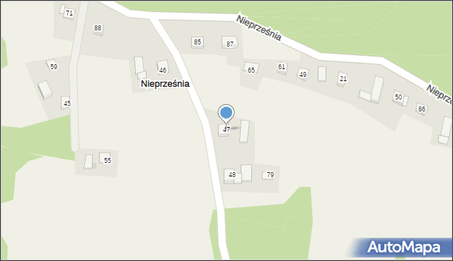 Nieprześnia, Nieprześnia, 47, mapa Nieprześnia