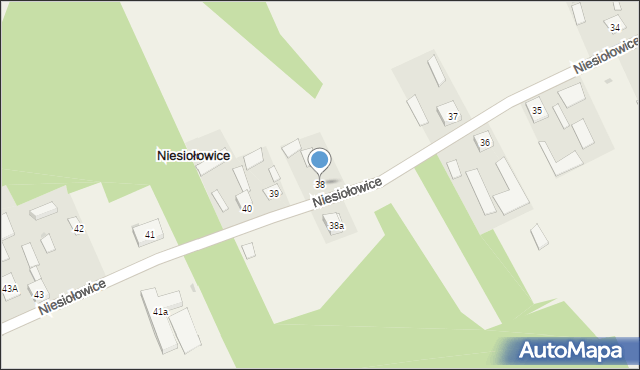 Niesiołowice, Niesiołowice, 38, mapa Niesiołowice