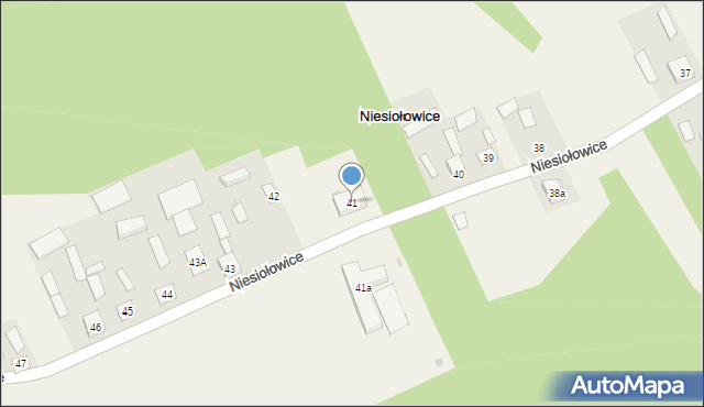 Niesiołowice, Niesiołowice, 41, mapa Niesiołowice