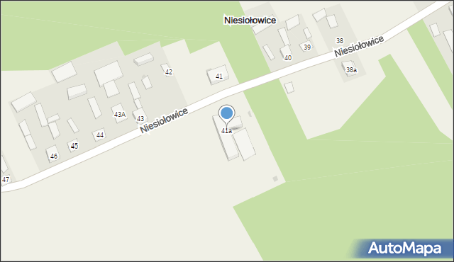 Niesiołowice, Niesiołowice, 41a, mapa Niesiołowice