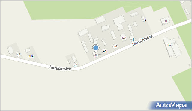 Niesiołowice, Niesiołowice, 46, mapa Niesiołowice