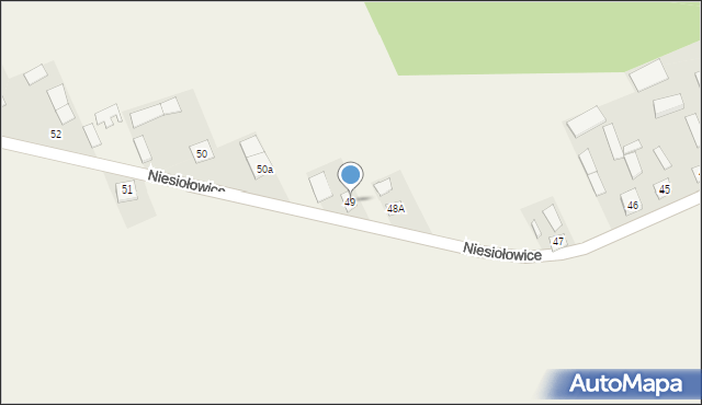 Niesiołowice, Niesiołowice, 49, mapa Niesiołowice