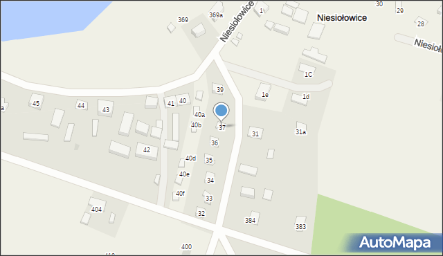 Niesiołowice, Niesiołowice, 37, mapa Niesiołowice