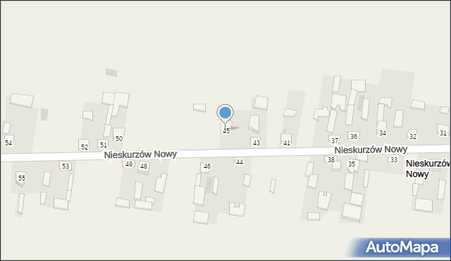 Nieskurzów Nowy, Nieskurzów Nowy, 45, mapa Nieskurzów Nowy