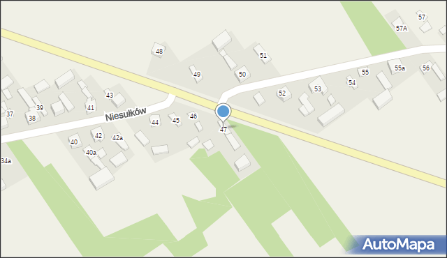 Niesułków, Niesułków, 47, mapa Niesułków