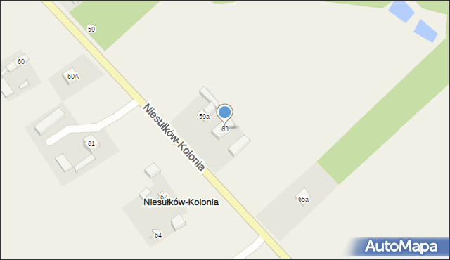 Niesułków-Kolonia, Niesułków-Kolonia, 63, mapa Niesułków-Kolonia