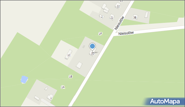 Niesulów, Niesulów, 1D, mapa Niesulów