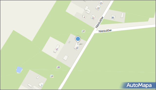 Niesulów, Niesulów, 1E, mapa Niesulów