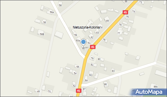 Nietuszyna, Nietuszyna, 60, mapa Nietuszyna