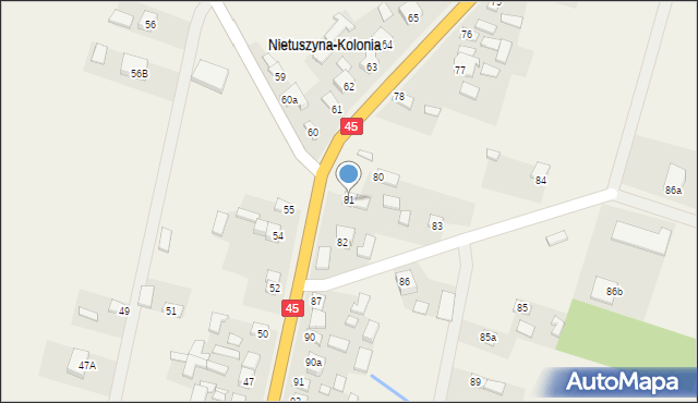 Nietuszyna, Nietuszyna, 81, mapa Nietuszyna