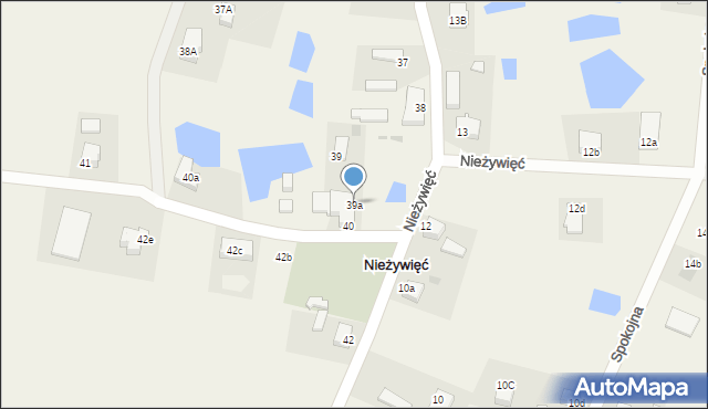 Nieżywięć, Nieżywięć, 39a, mapa Nieżywięć