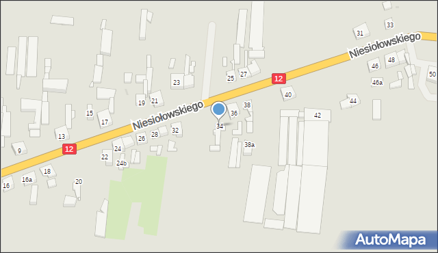 Pleszew, Niesiołowskiego Kazimierza, ks., 34, mapa Pleszew