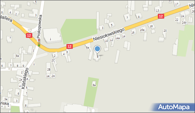 Pleszew, Niesiołowskiego Kazimierza, ks., 8, mapa Pleszew