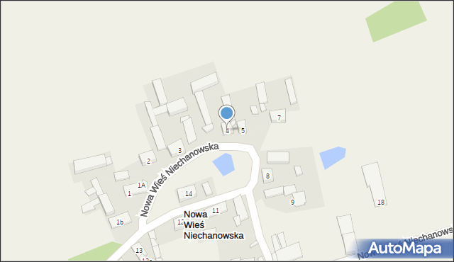 Nowa Wieś Niechanowska, Nowa Wieś Niechanowska, 4, mapa Nowa Wieś Niechanowska